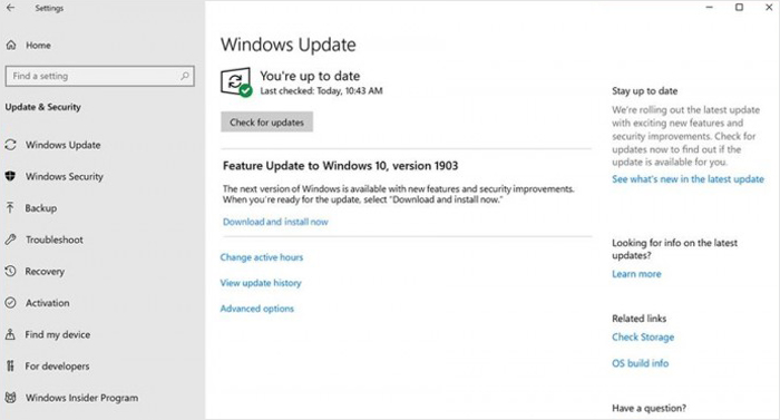 Windows 10 May 2019开始全面推送 手动检查更新即可升级