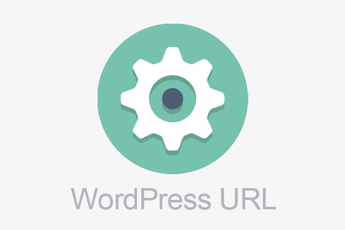 简单更新WordPess URL和站点URL四种方法